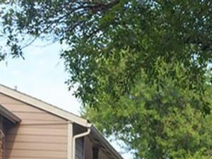 The Hunt Club at Pin Oak Apartments Katy, TX Mature Landscaping